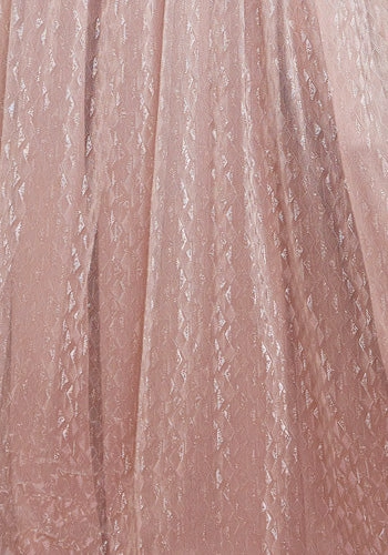 Celestia Soft Mesh Dress