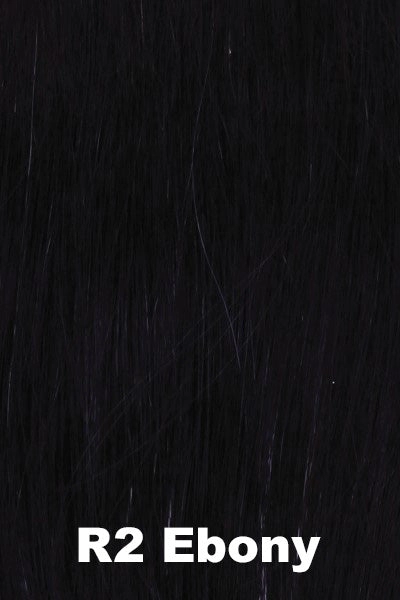 Raquel Welch Wigs - Trend Setter Large